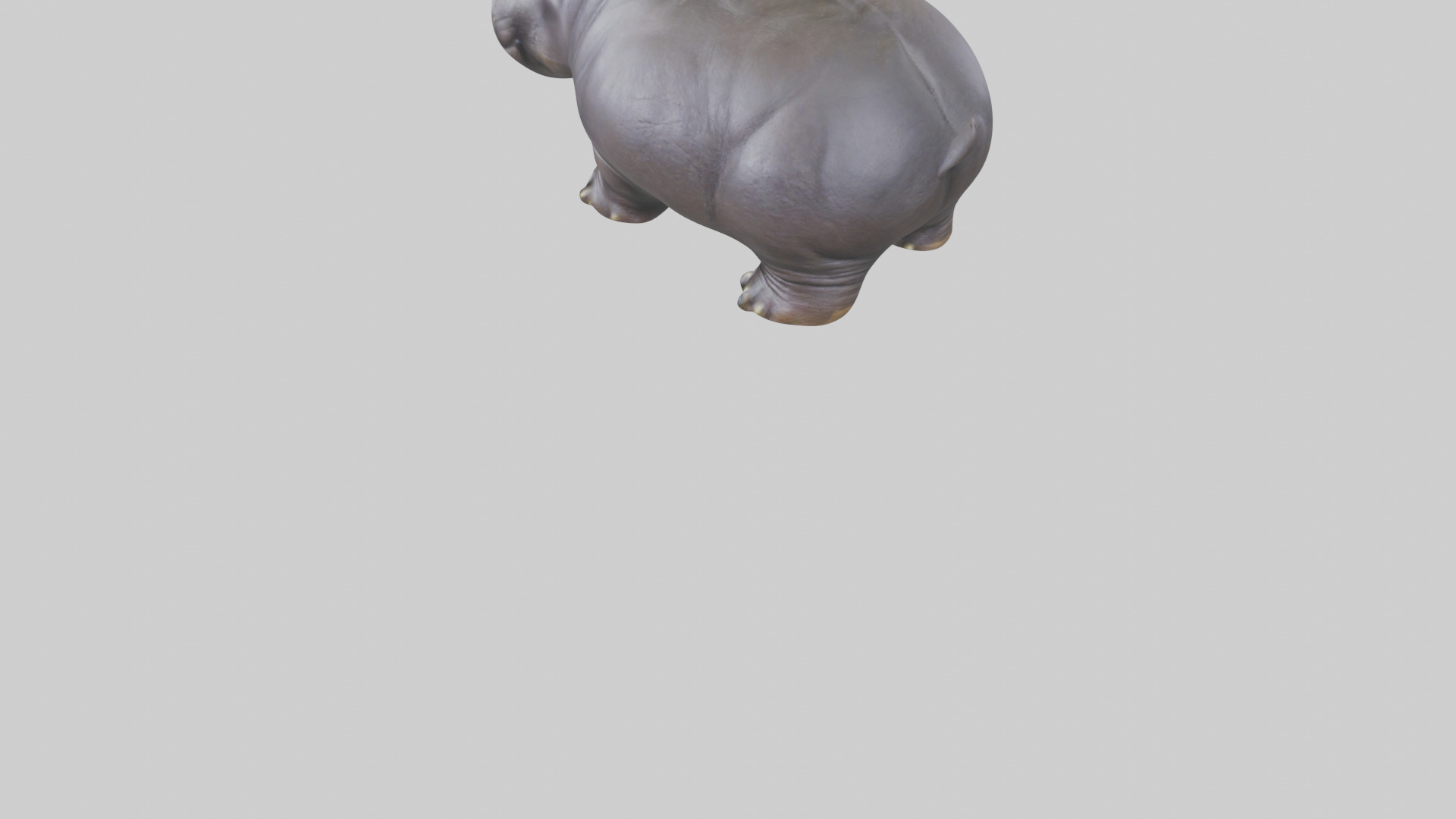 Pygmy Hippo statue model Low-poly 3D model_5