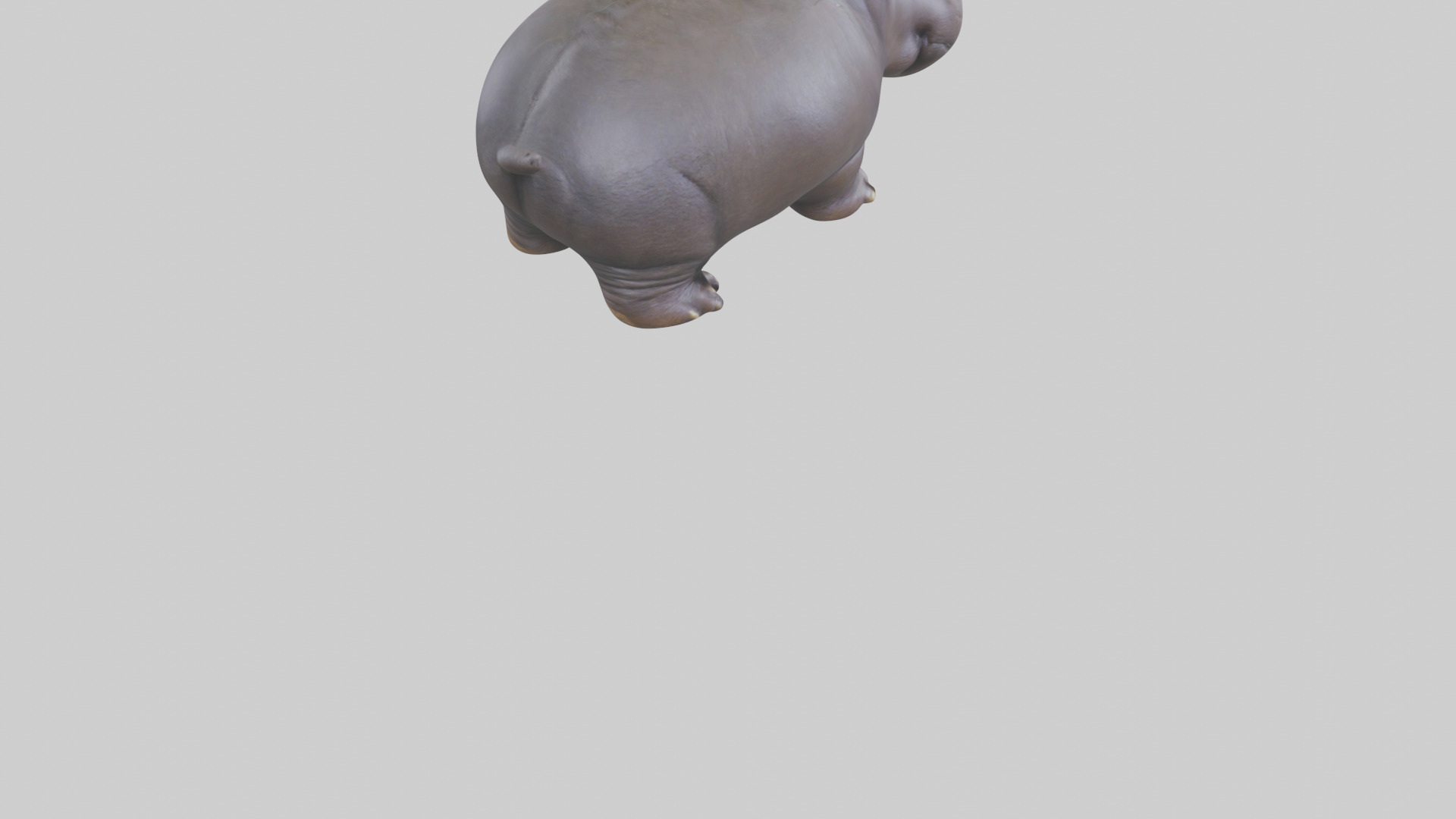 Pygmy Hippo statue model Low-poly 3D model_6