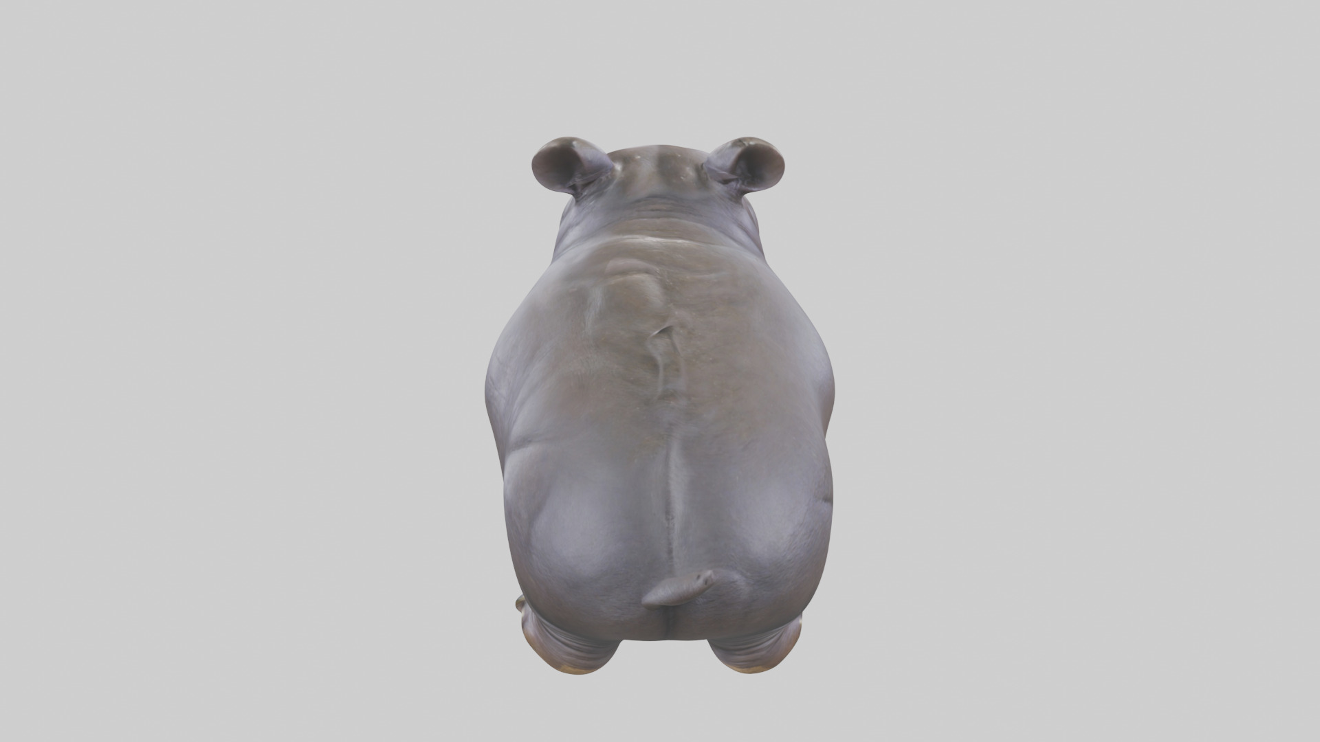 Pygmy Hippo statue model Low-poly 3D model_15