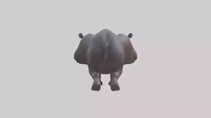 Pygmy Hippo walking model