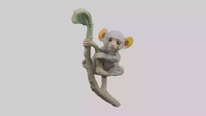 Pygmy Marmoset climbing model Low-poly 3D model