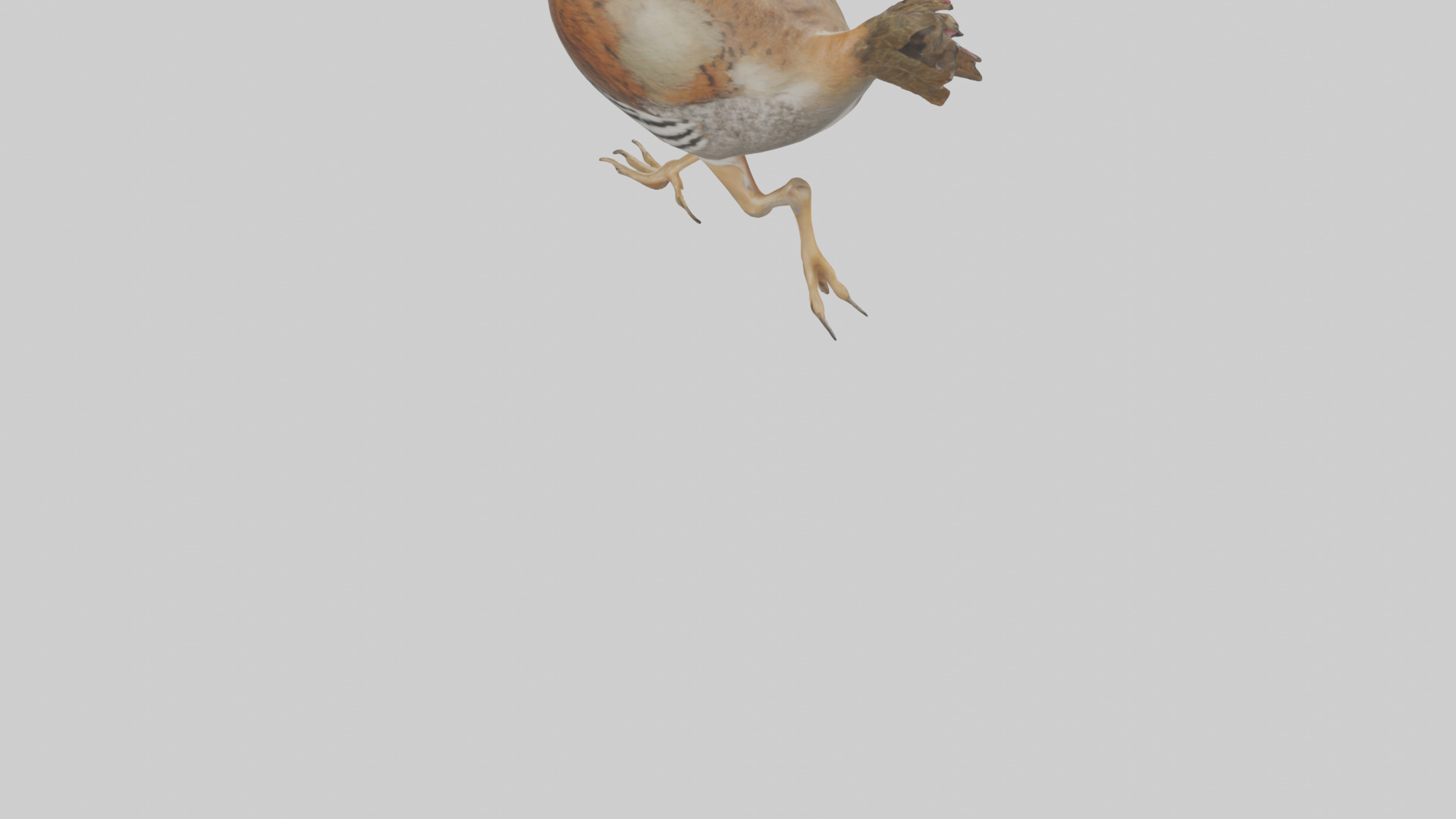 Quail running model Low-poly 3D model_3
