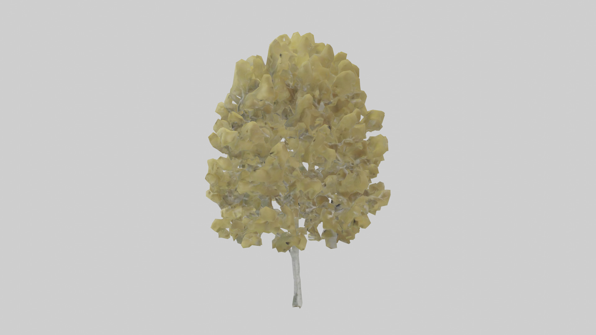 Quaking Aspen tree model Low-poly 3D model_12