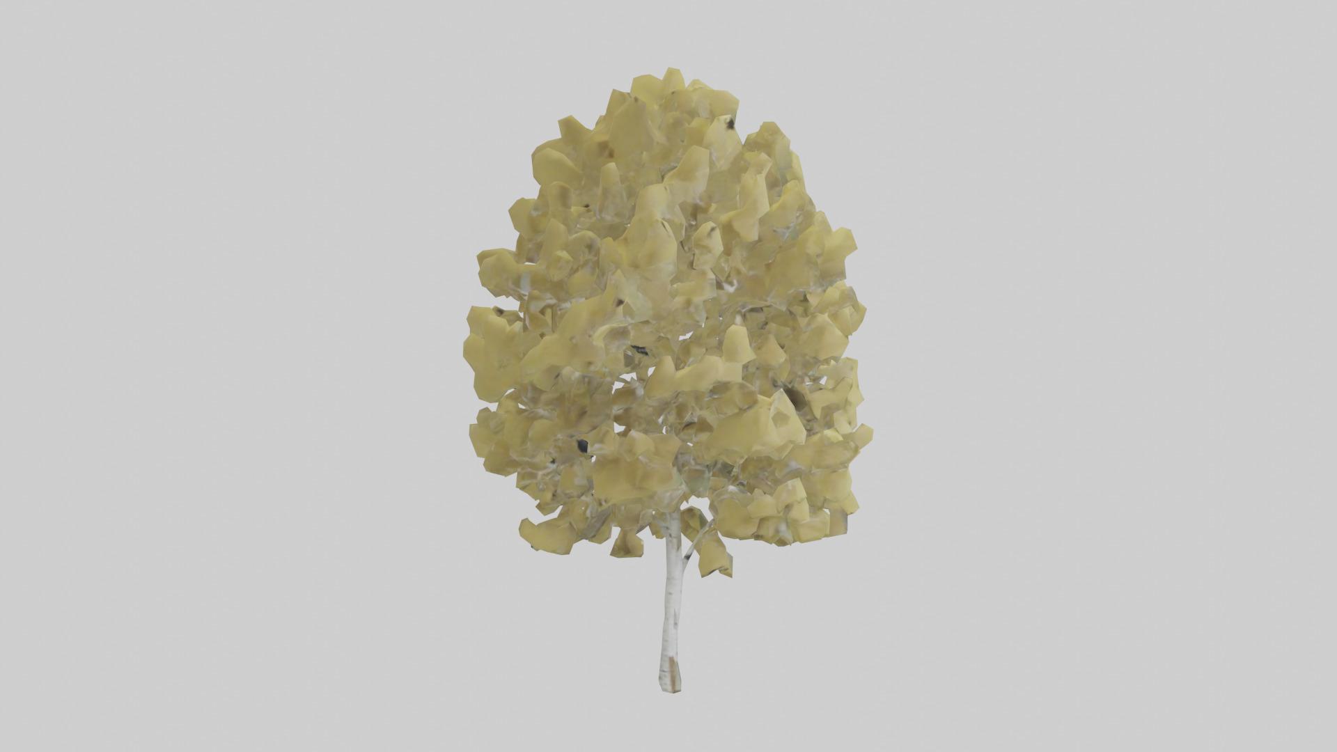 Quaking Aspen tree model Low-poly 3D model_13