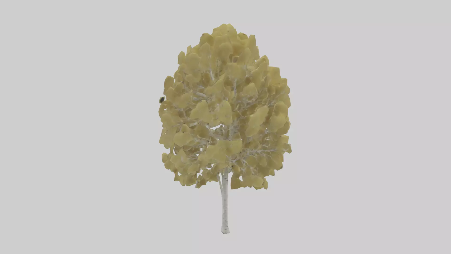 Quaking Aspen tree model Low-poly 3D model_0