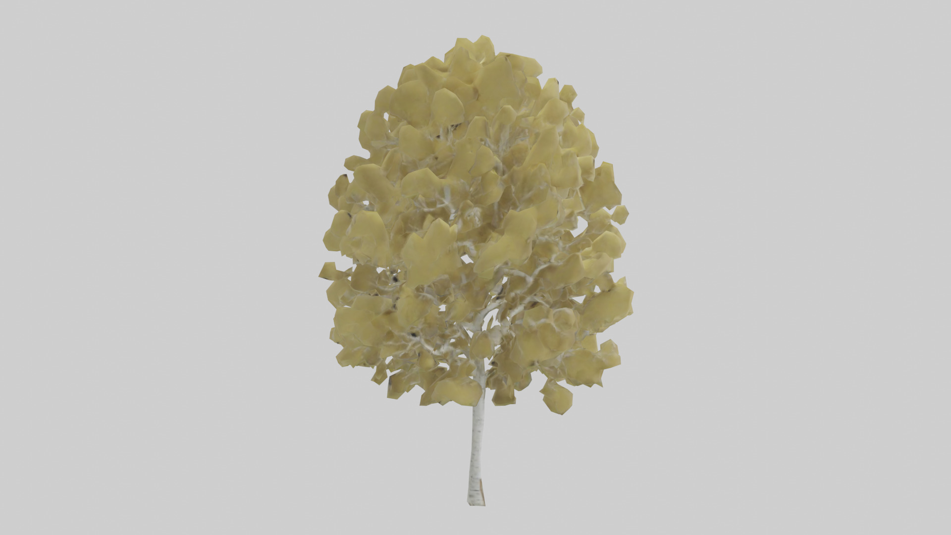 Quaking Aspen tree model Low-poly 3D model_2