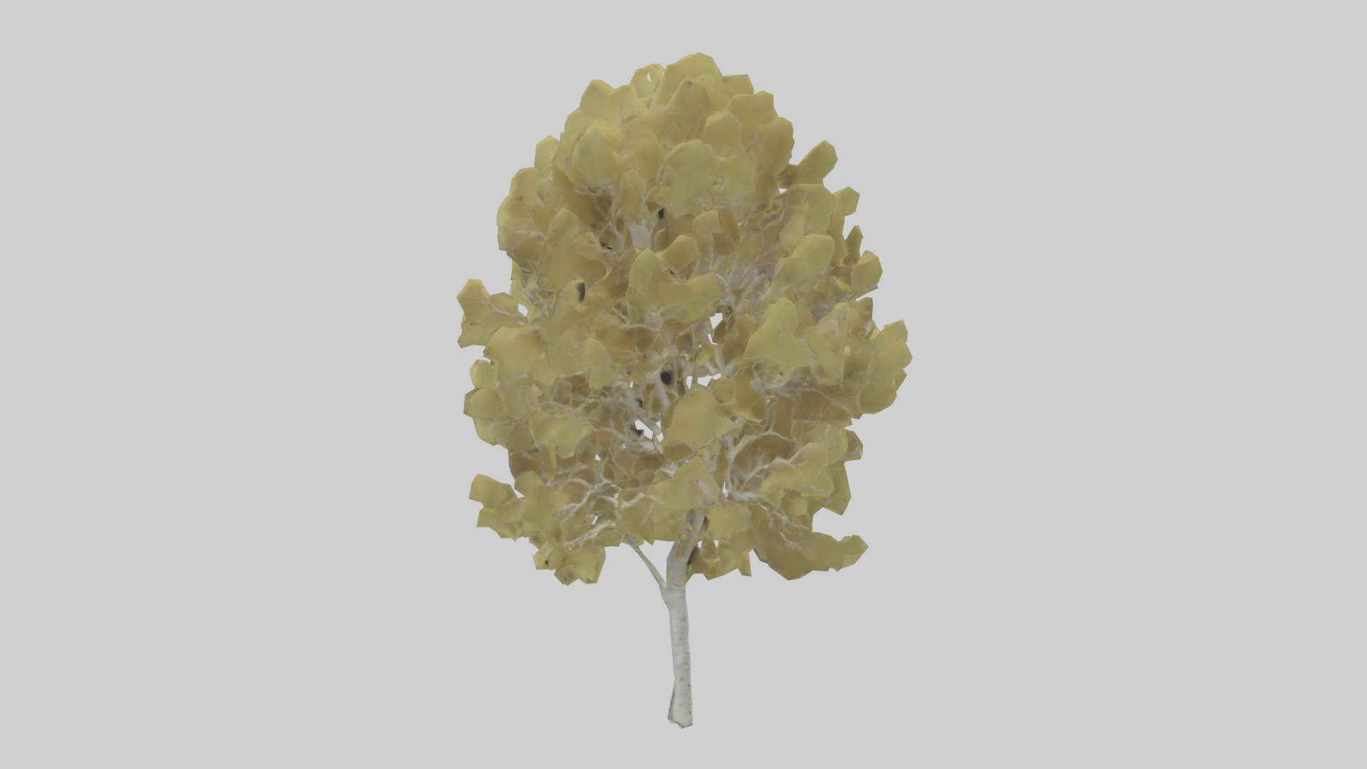 Quaking Aspen tree model Low-poly 3D model_1