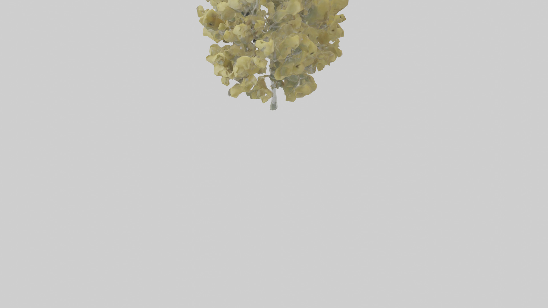 Quaking Aspen tree model Low-poly 3D model_5