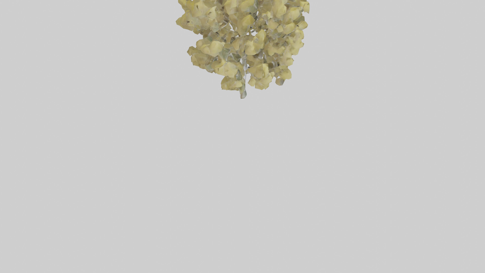 Quaking Aspen tree model Low-poly 3D model_6
