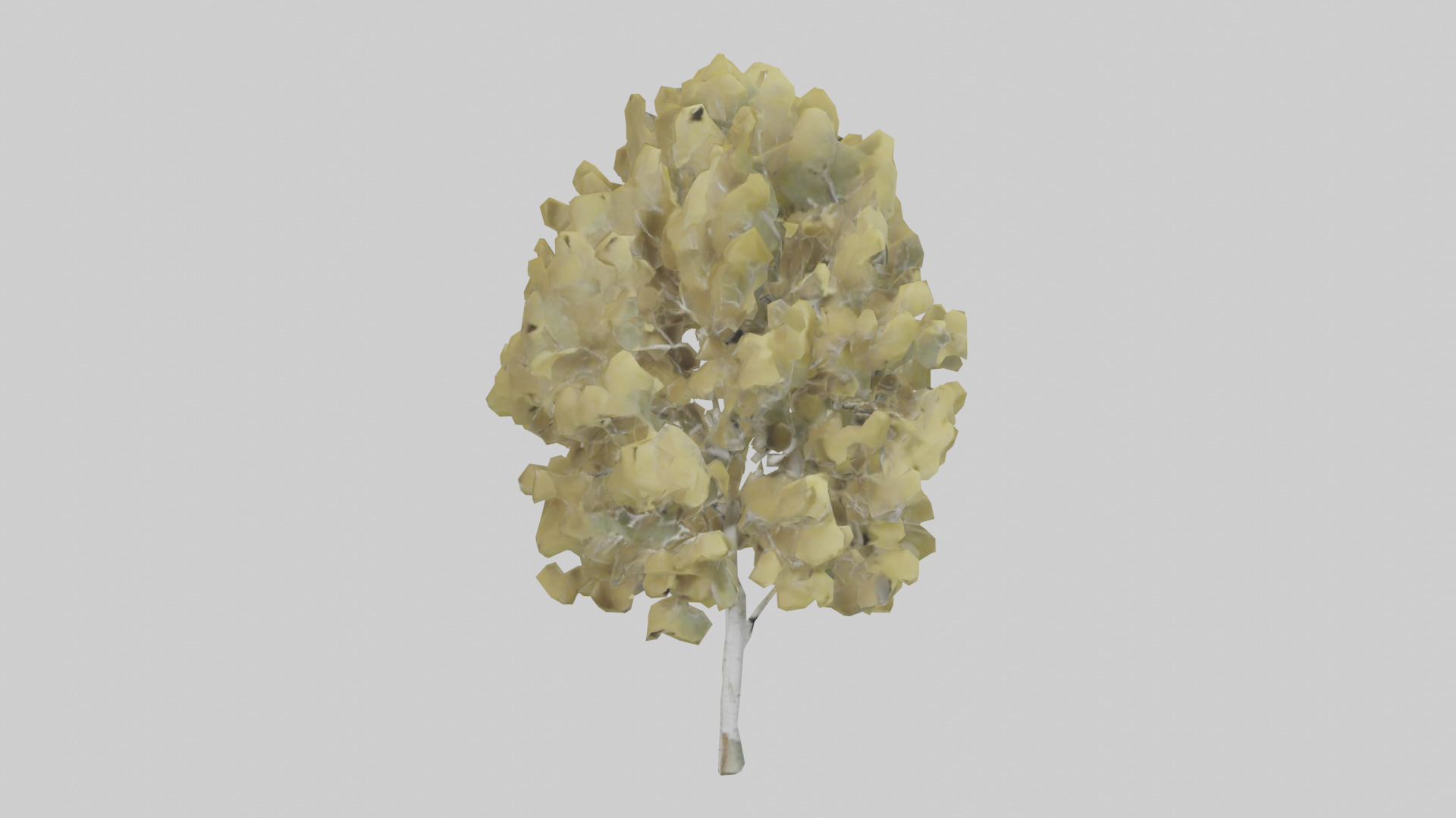 Quaking Aspen tree model Low-poly 3D model_7