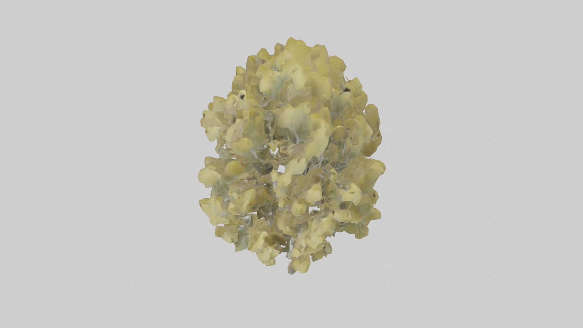 Quaking Aspen tree model Low-poly 3D model_16