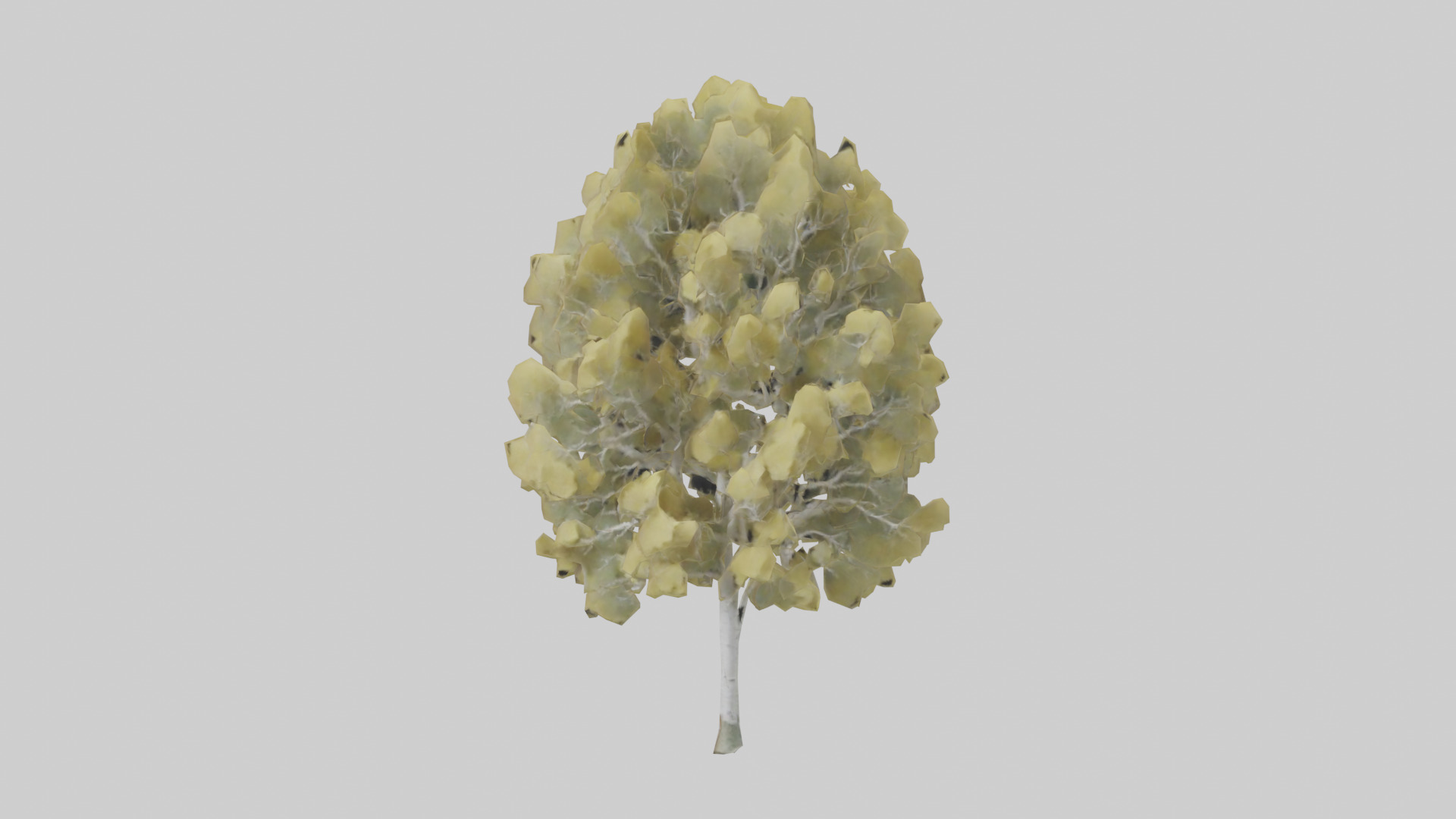 Quaking Aspen tree model Low-poly 3D model_9