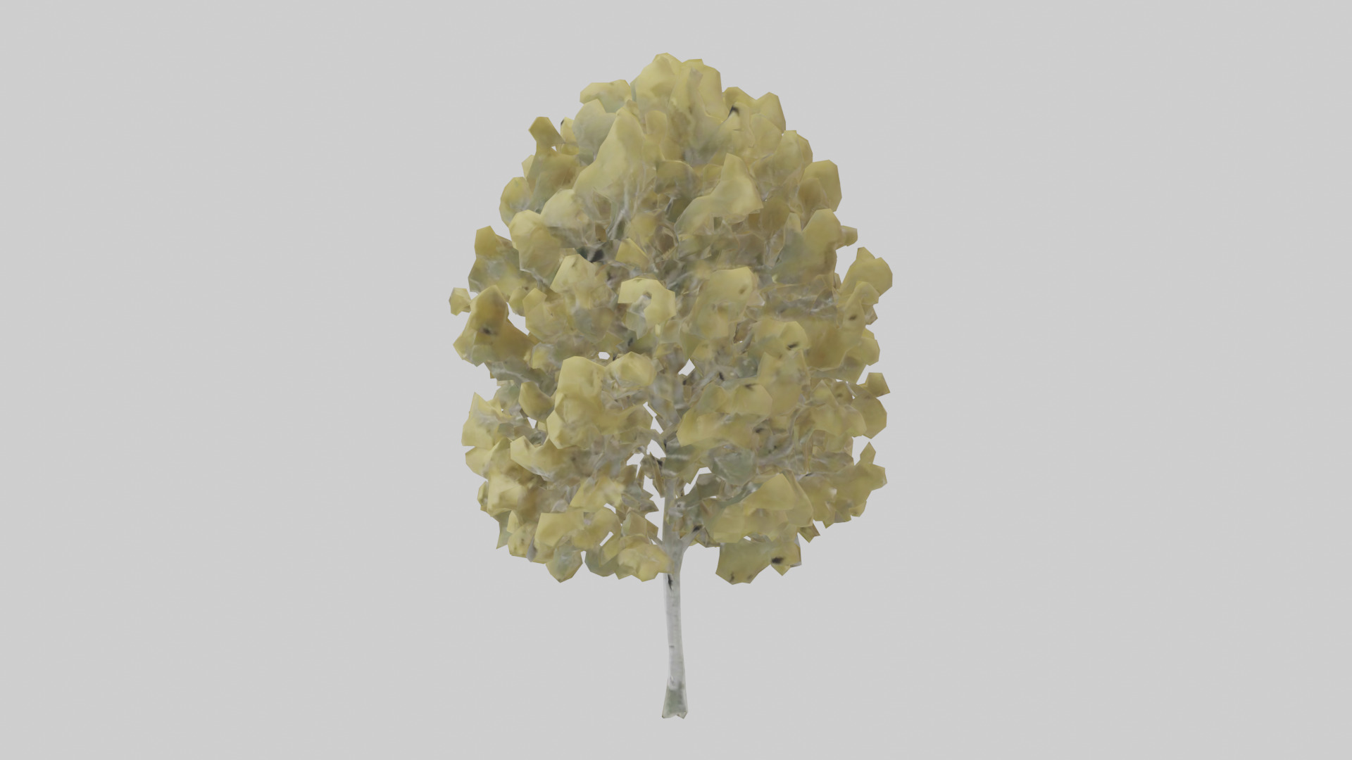 Quaking Aspen tree model Low-poly 3D model_10