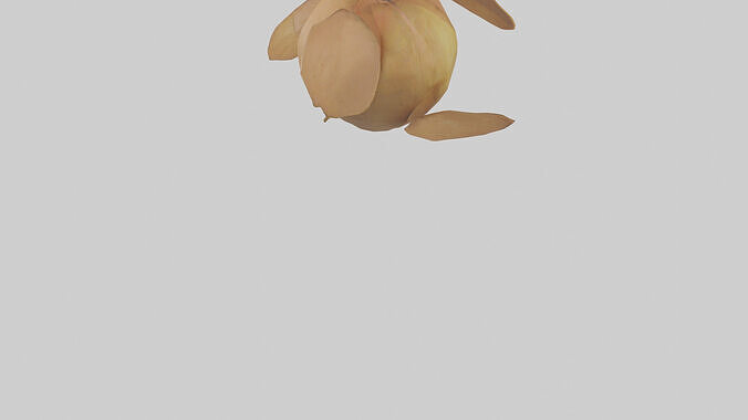 Quince model Low-poly 3D model 6