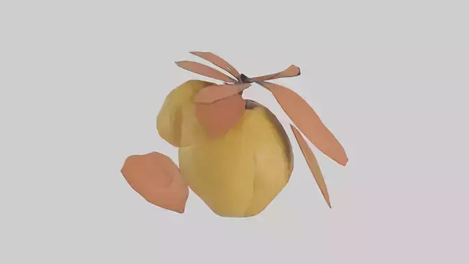 Quince model Low-poly 3D model
