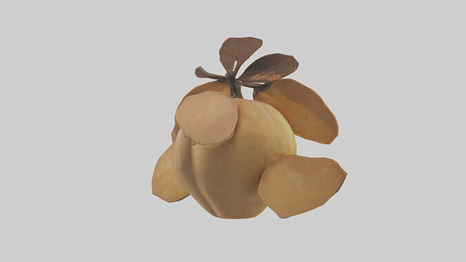 Quince model Low-poly 3D model 4