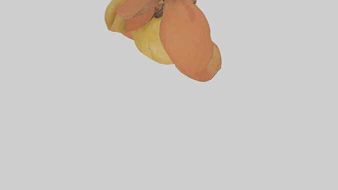 Quince model Low-poly 3D model 7