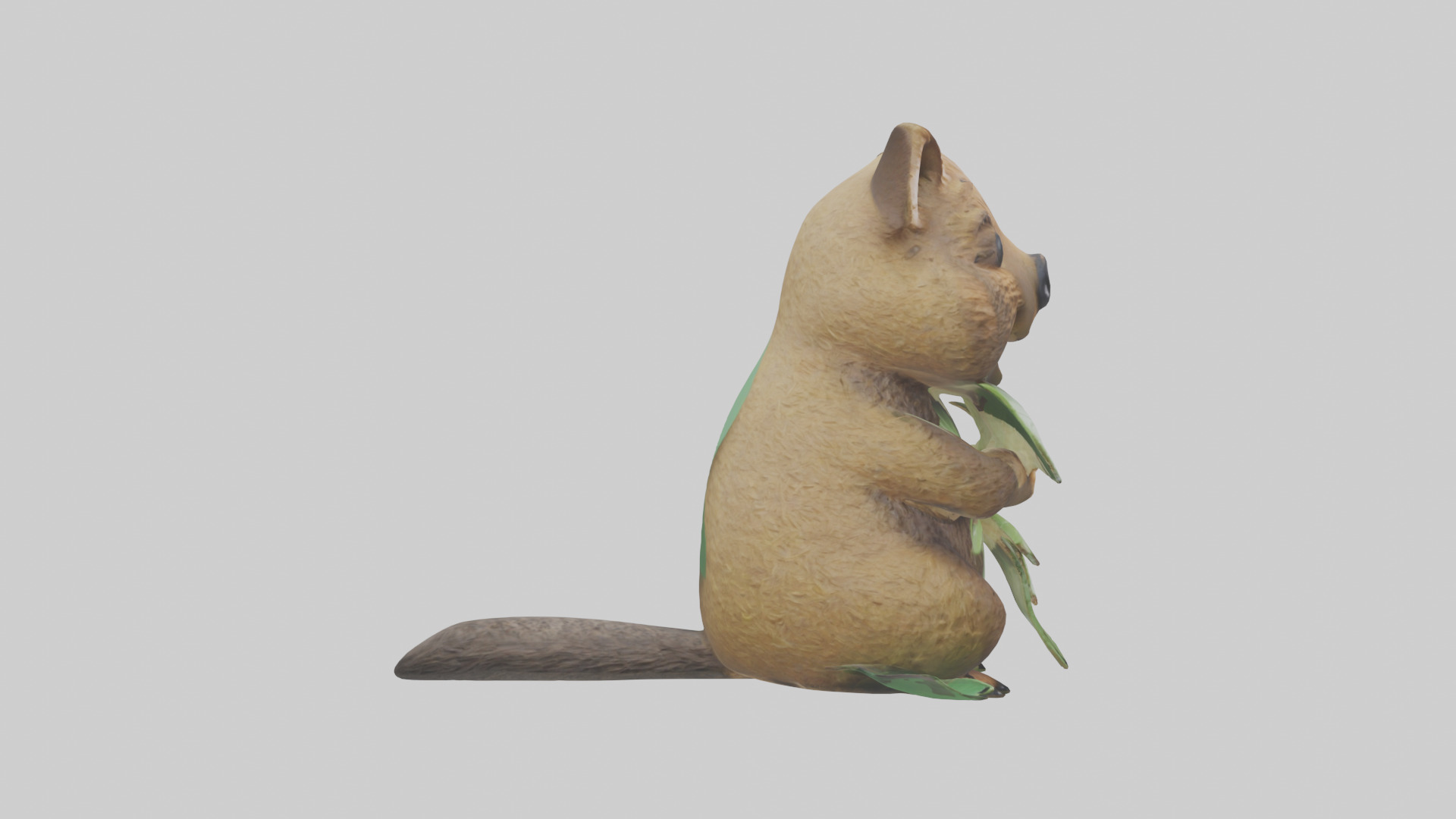 Quokka munching leaves model Low-poly 3D model_13
