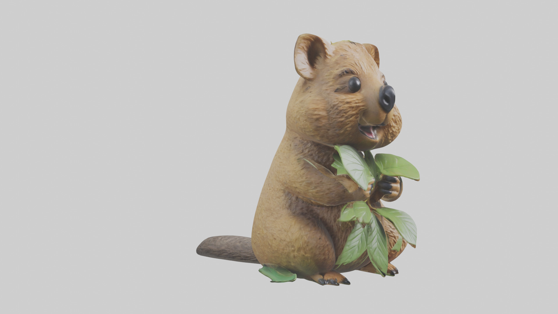 Quokka munching leaves model Low-poly 3D model_8