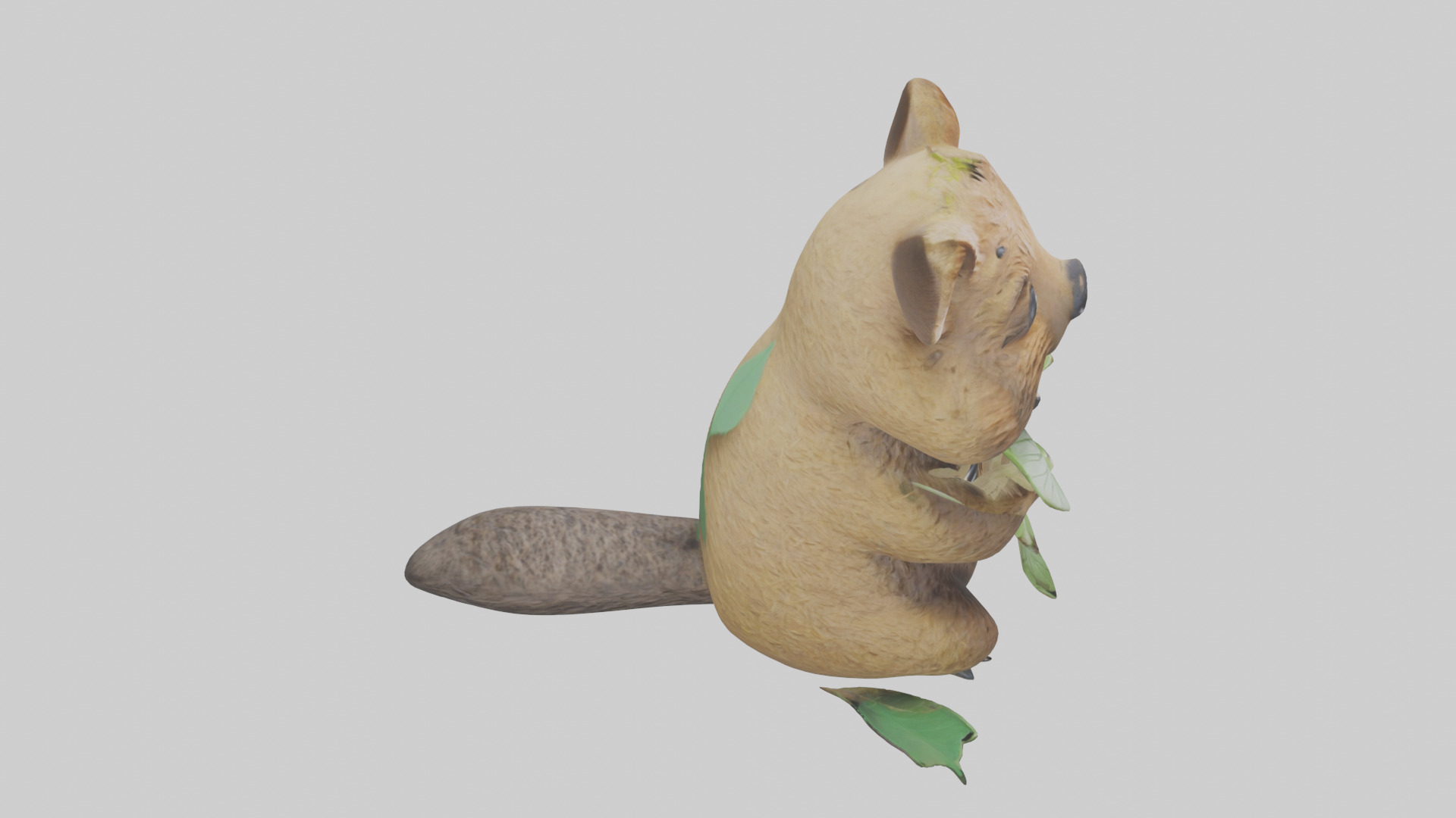 Quokka munching leaves model Low-poly 3D model_18
