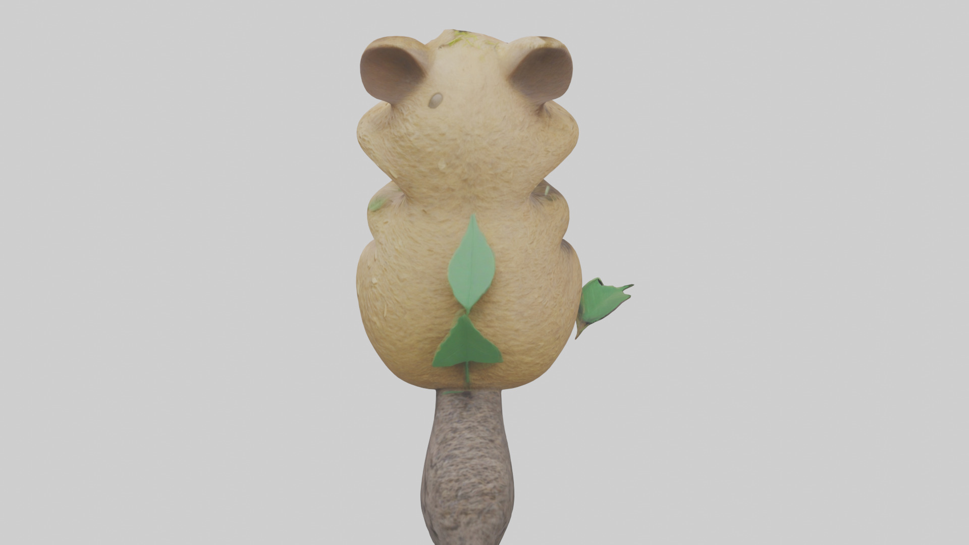 Quokka munching leaves model Low-poly 3D model_15
