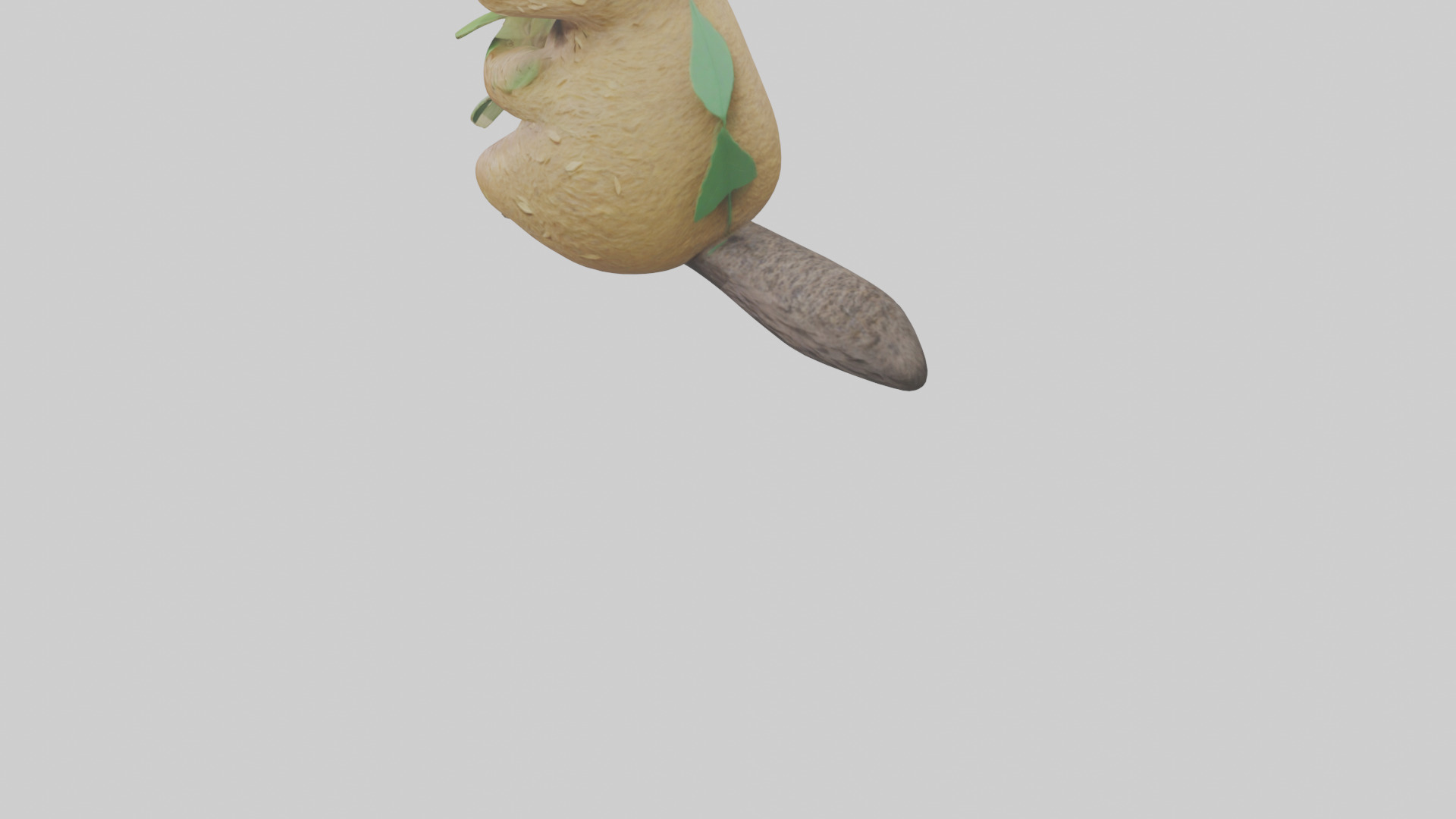 Quokka munching leaves model Low-poly 3D model_4