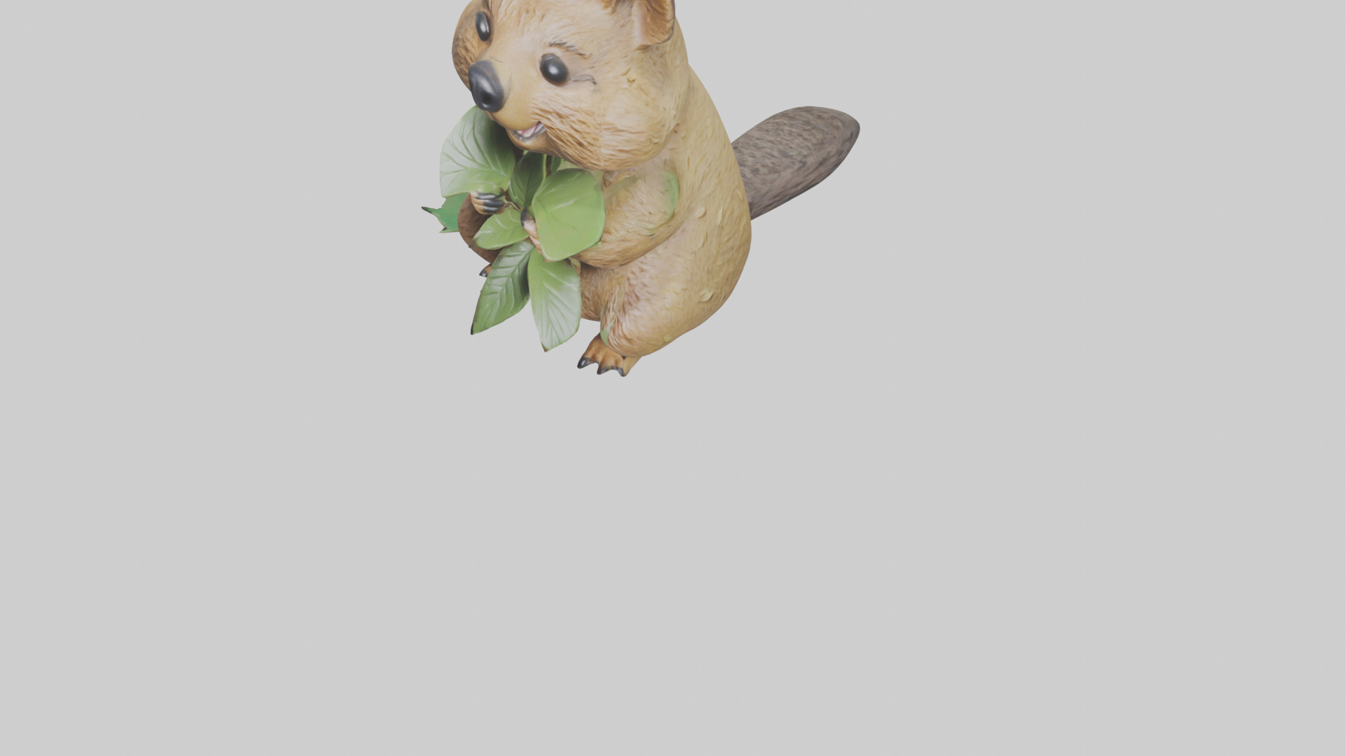 Quokka munching leaves model Low-poly 3D model_6