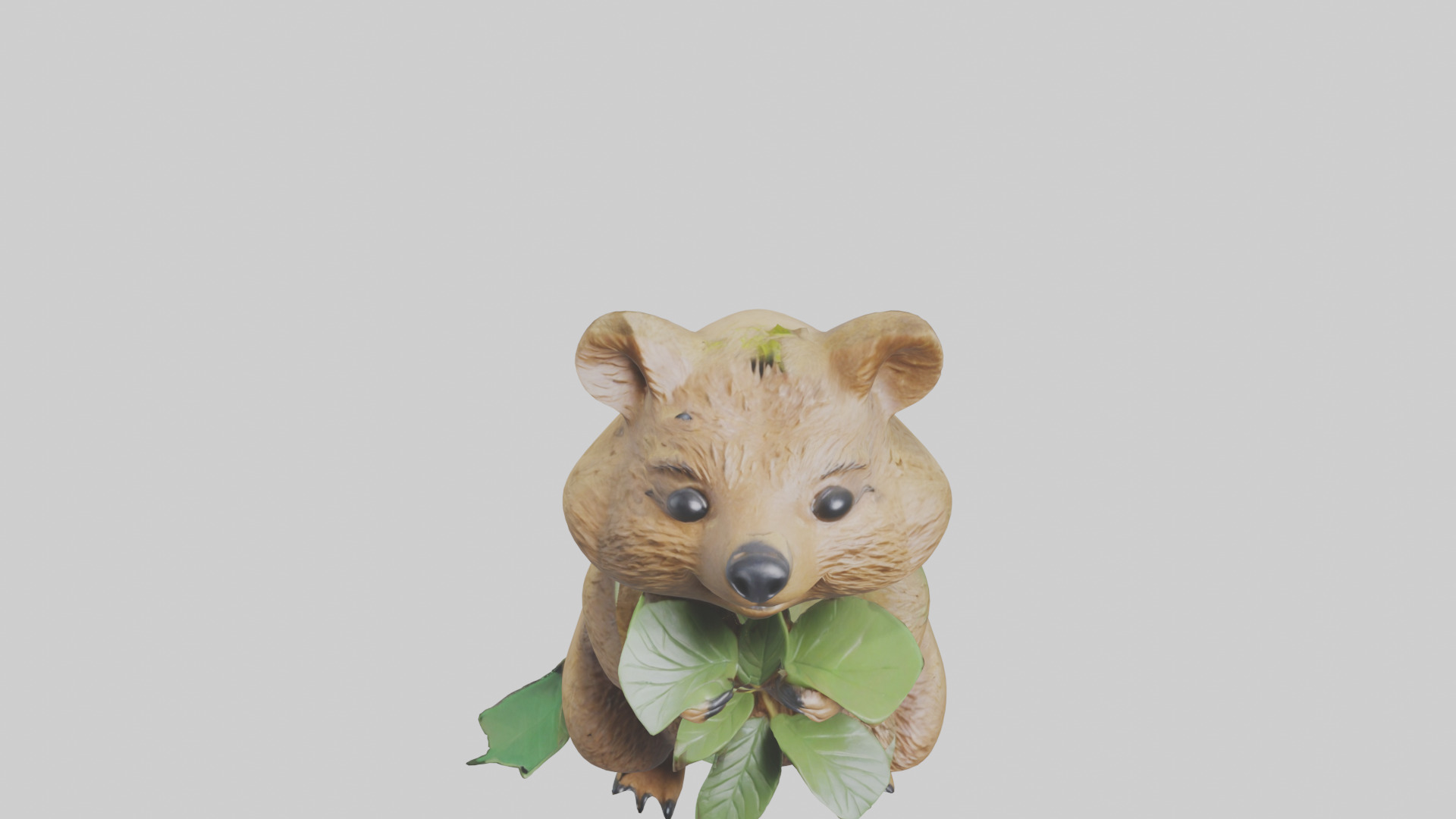Quokka munching leaves model Low-poly 3D model_16