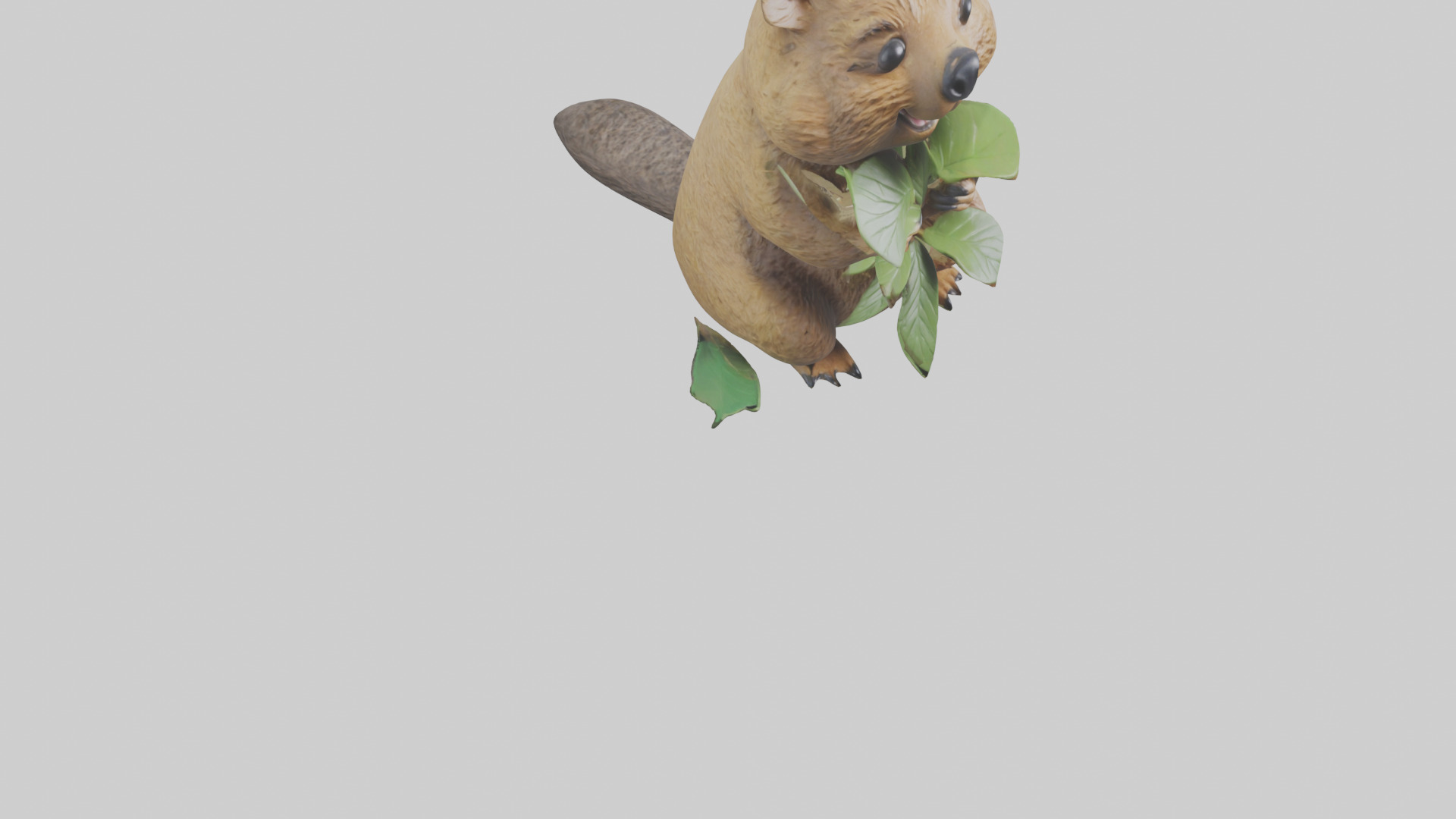 Quokka munching leaves model Low-poly 3D model_7