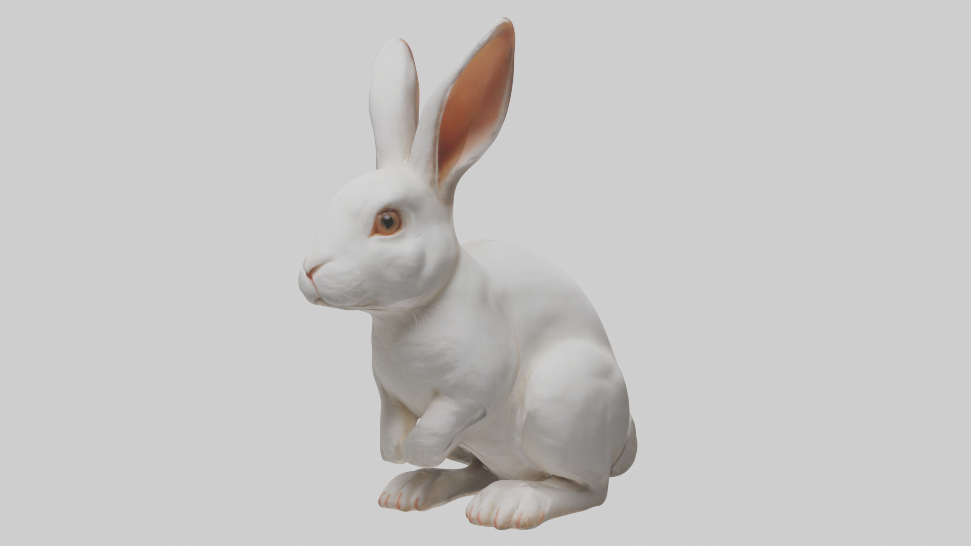 Rabbit Body Low-poly 3D model_10