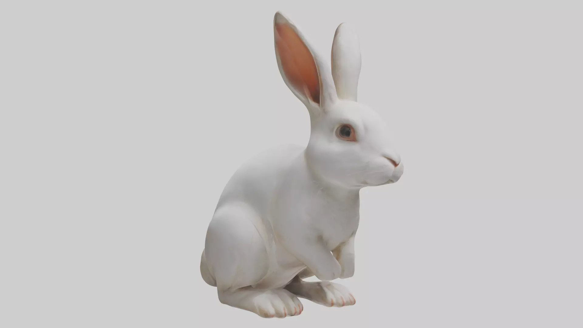 Rabbit Body Low-poly 3D model_0