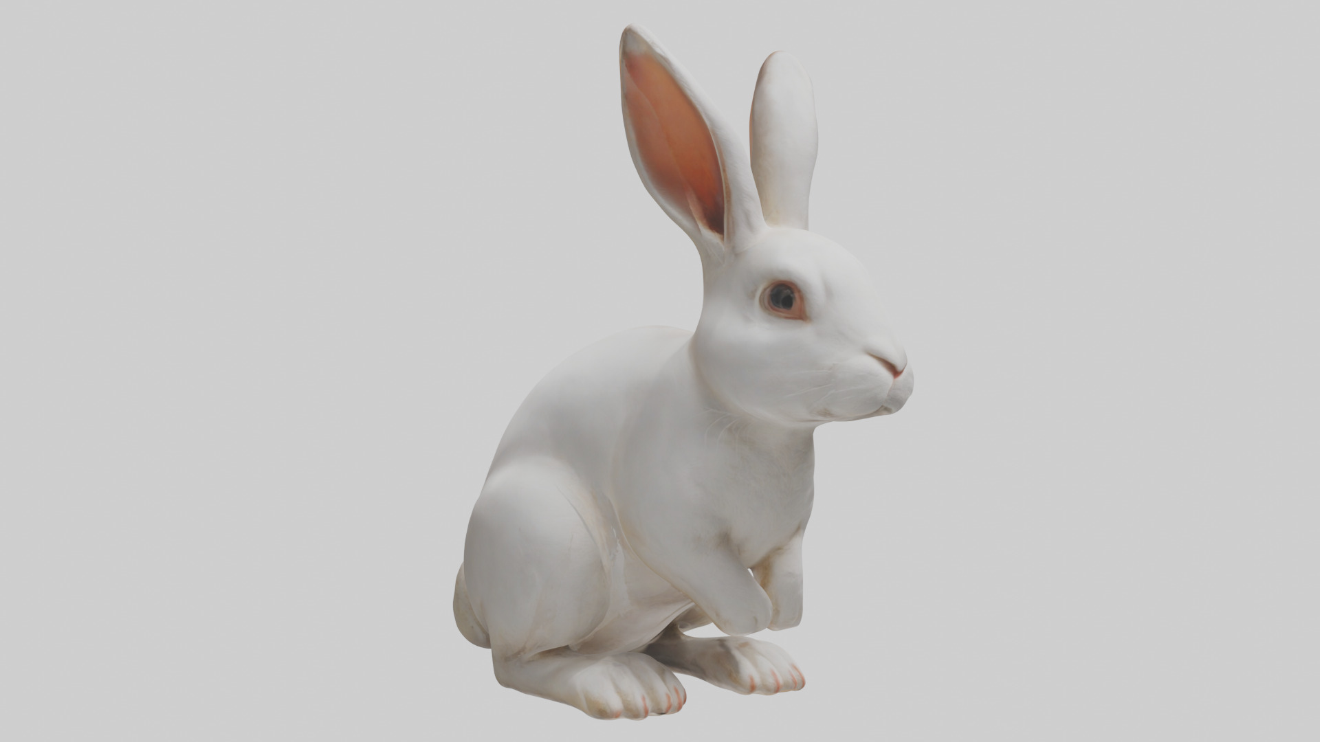 Rabbit Body Low-poly 3D model_11