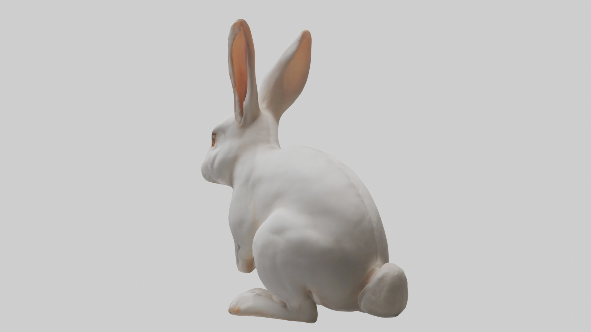 Rabbit Body Low-poly 3D model_4