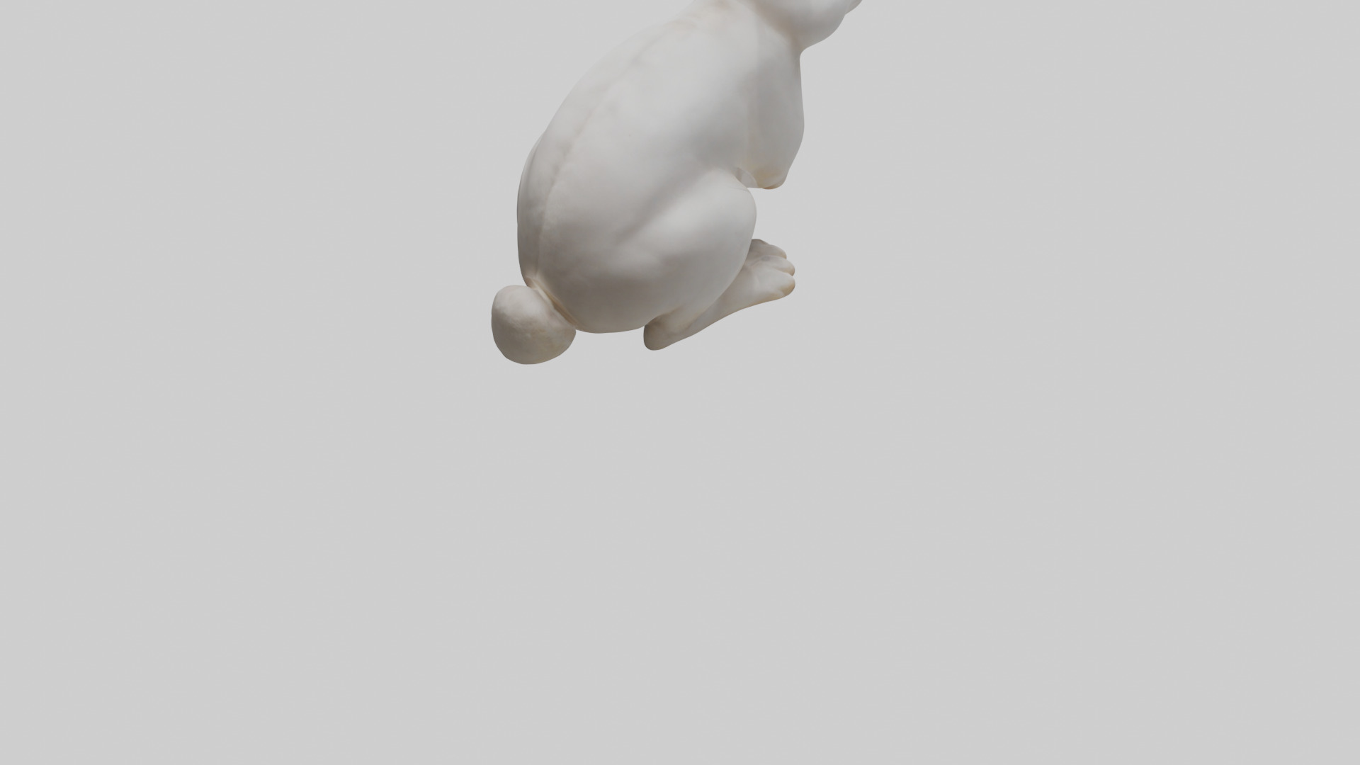 Rabbit Body Low-poly 3D model_7
