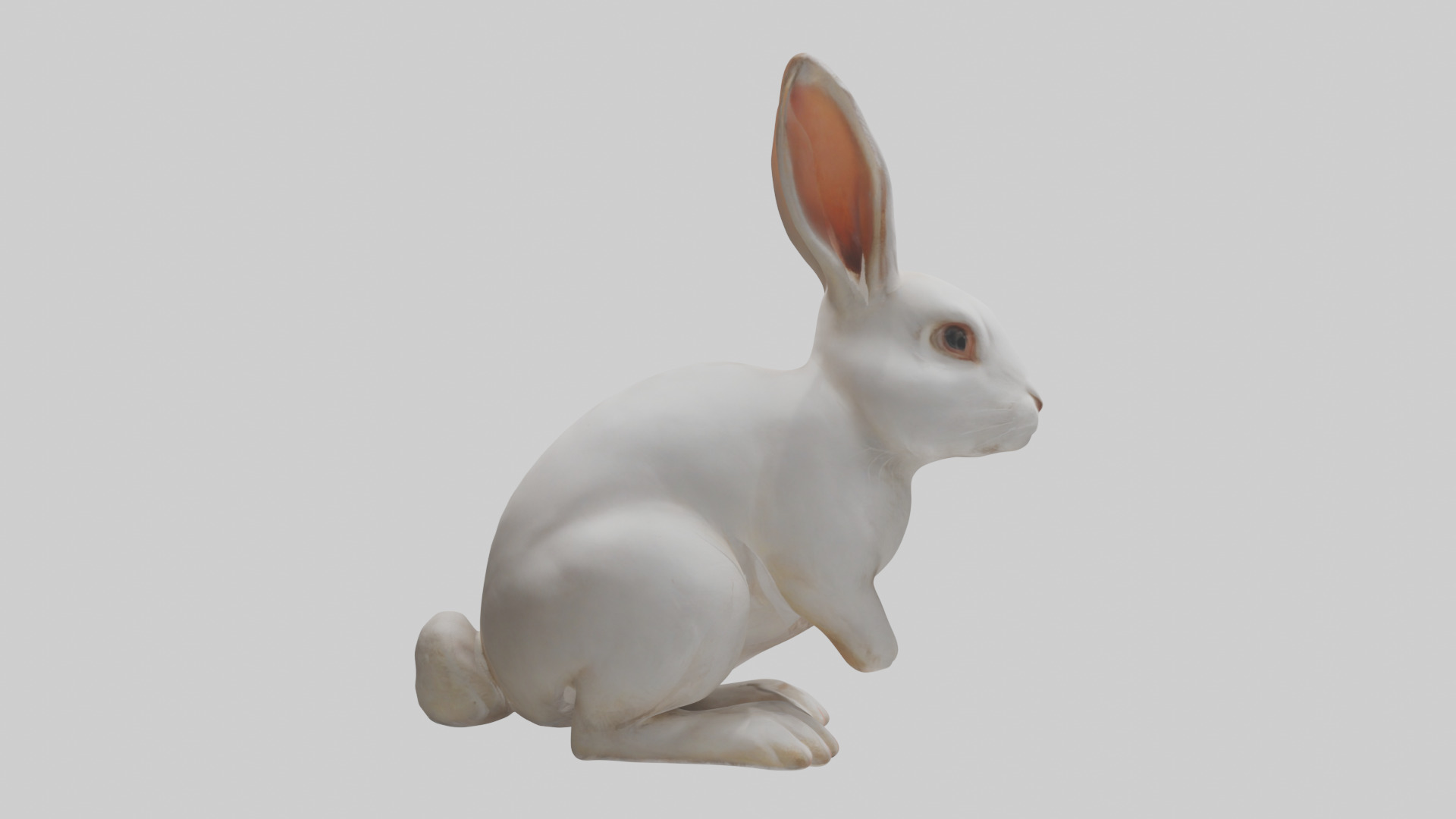 Rabbit Body Low-poly 3D model_13