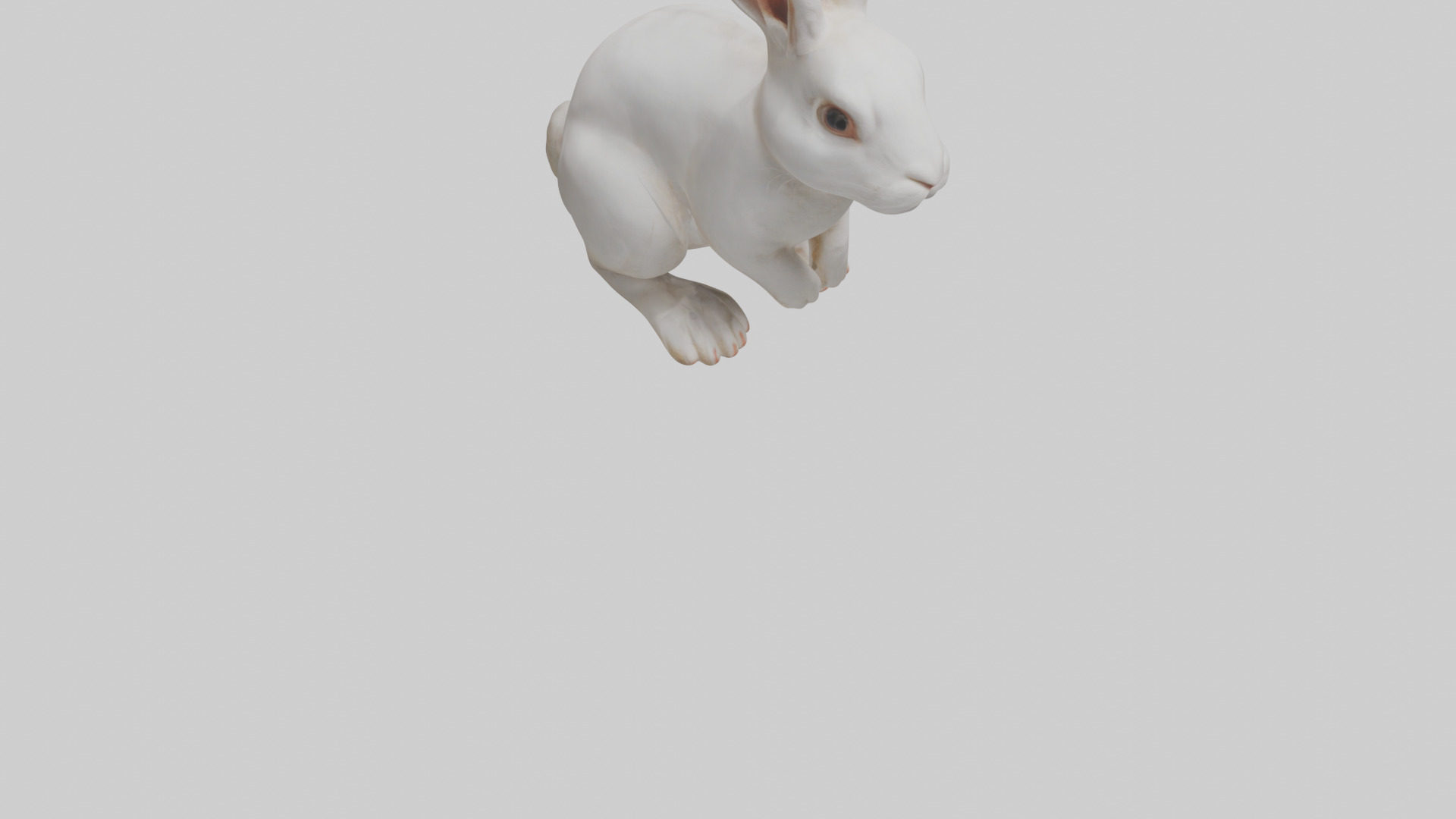 Rabbit Body Low-poly 3D model_9