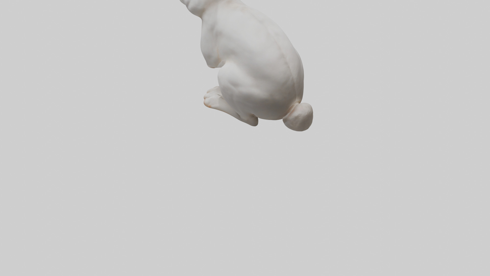 Rabbit Body Low-poly 3D model_6