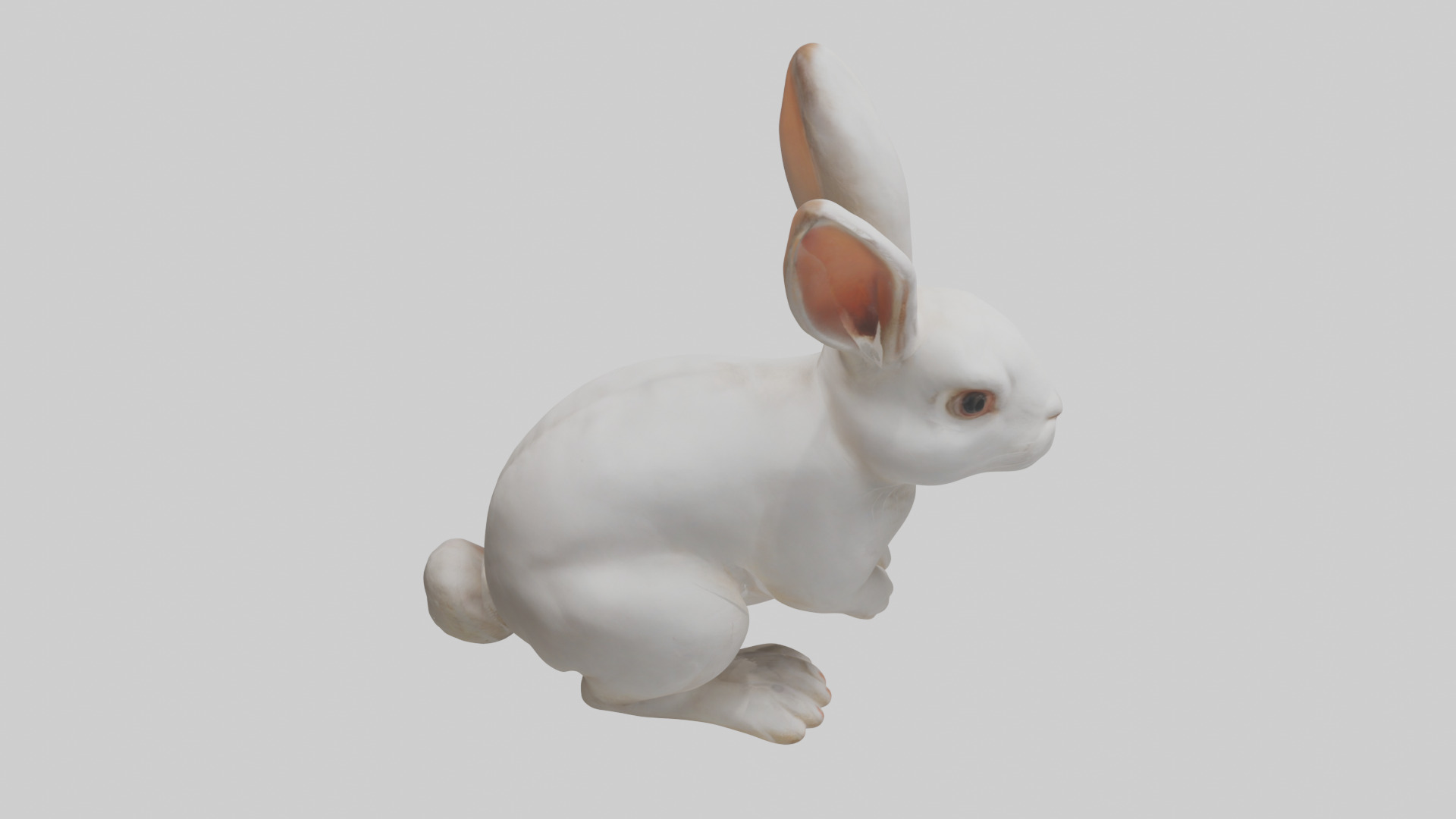 Rabbit Body Low-poly 3D model_18
