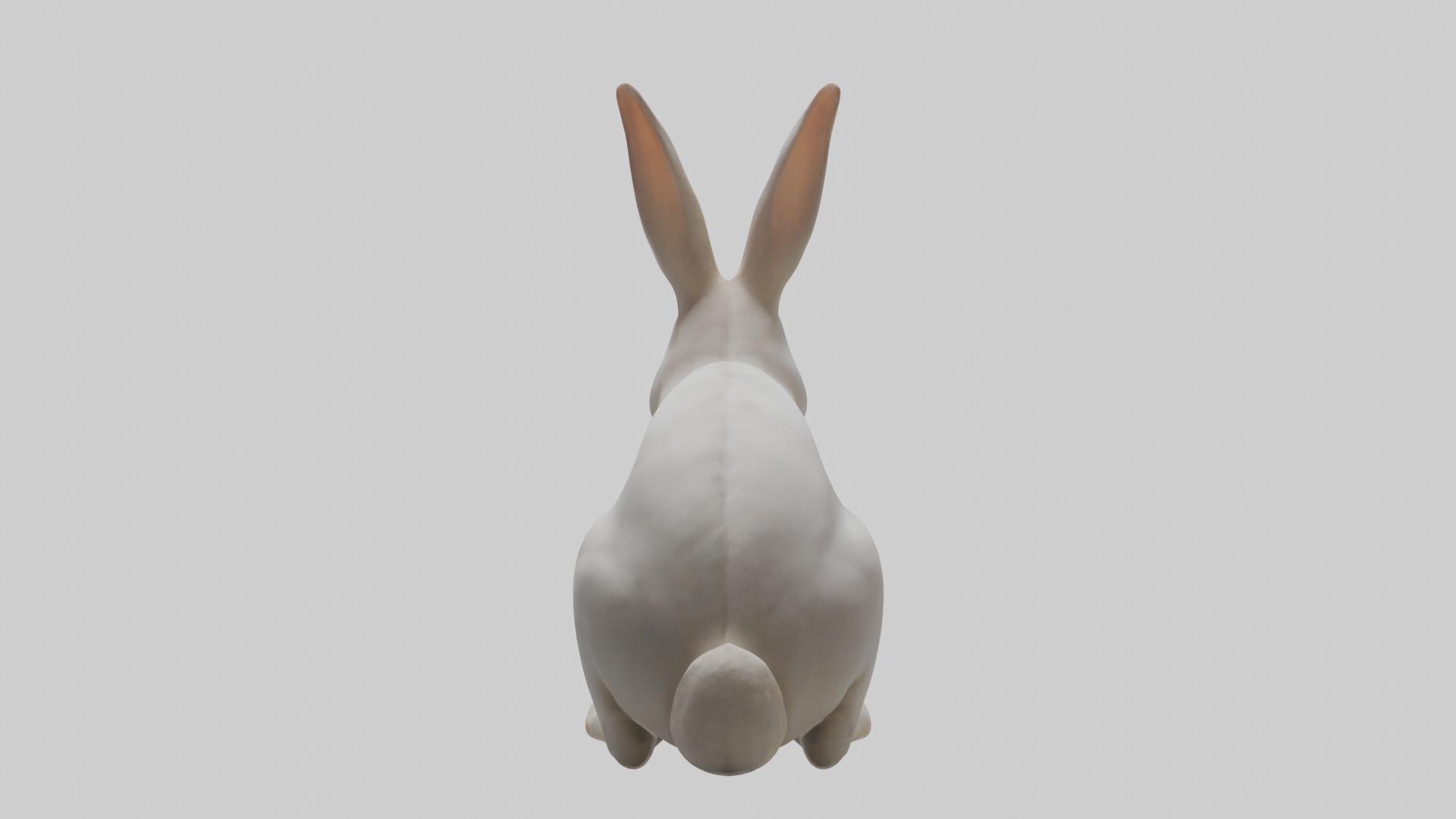 Rabbit Body Low-poly 3D model_3