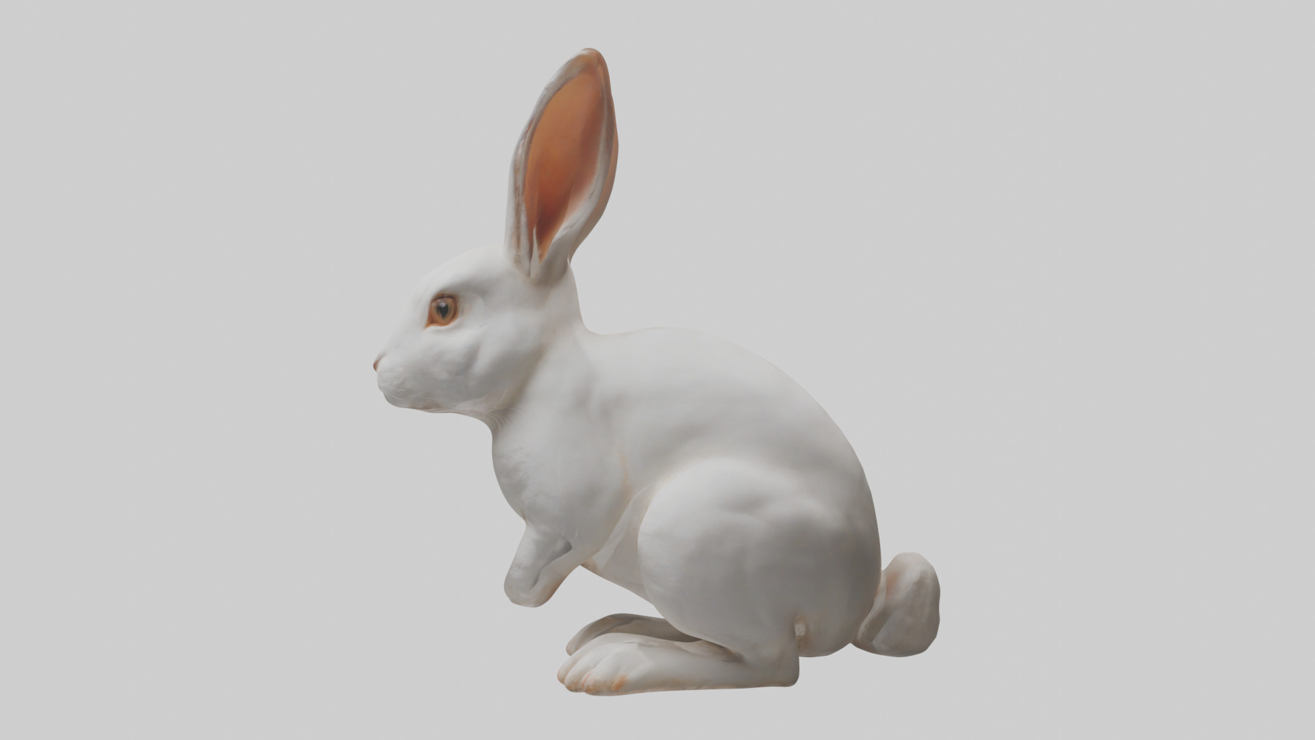 Rabbit Body Low-poly 3D model_12