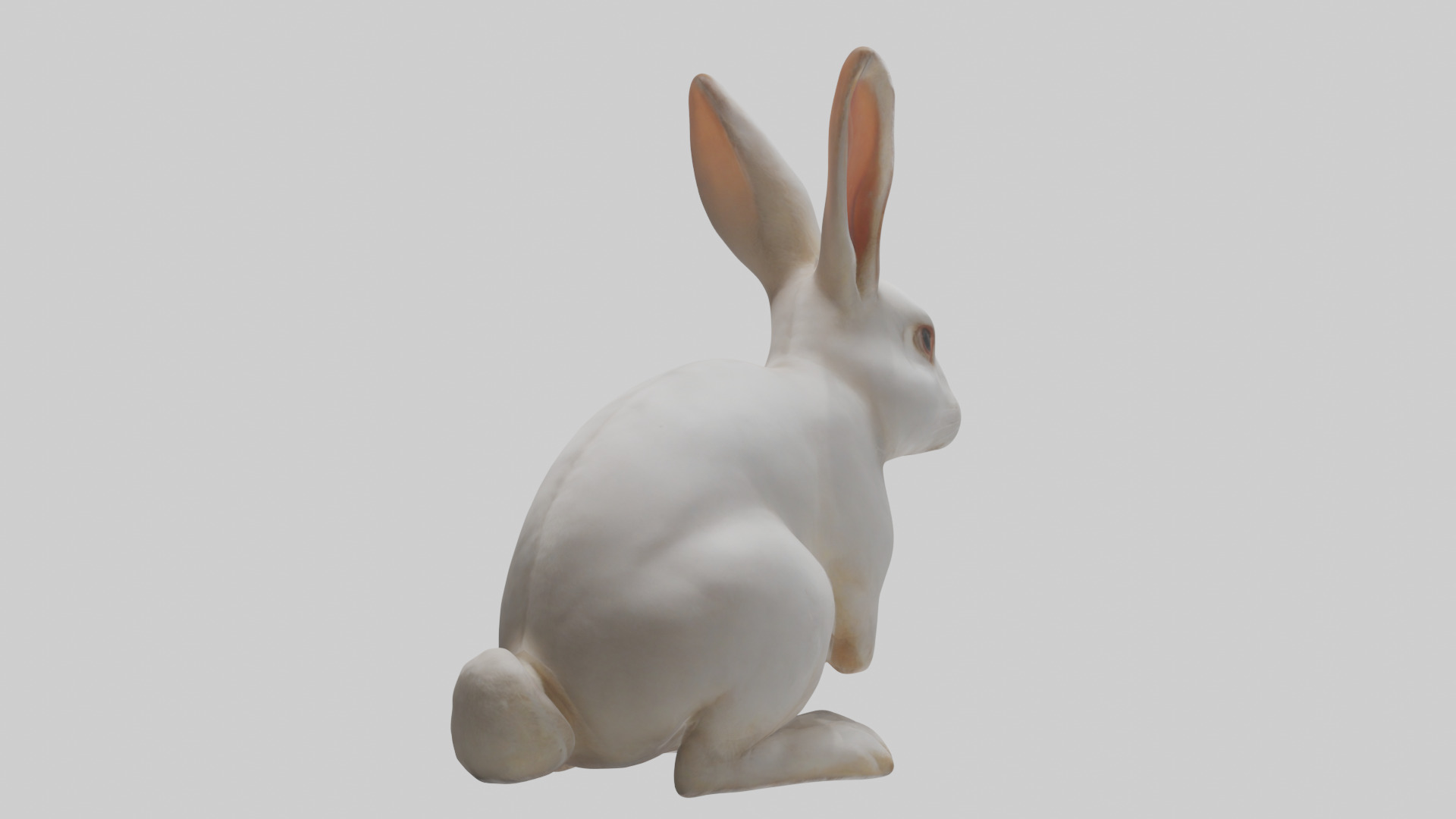 Rabbit Body Low-poly 3D model_5