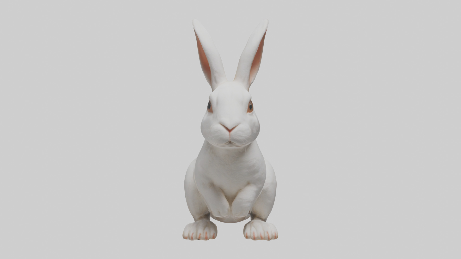 Rabbit Body Low-poly 3D model_1