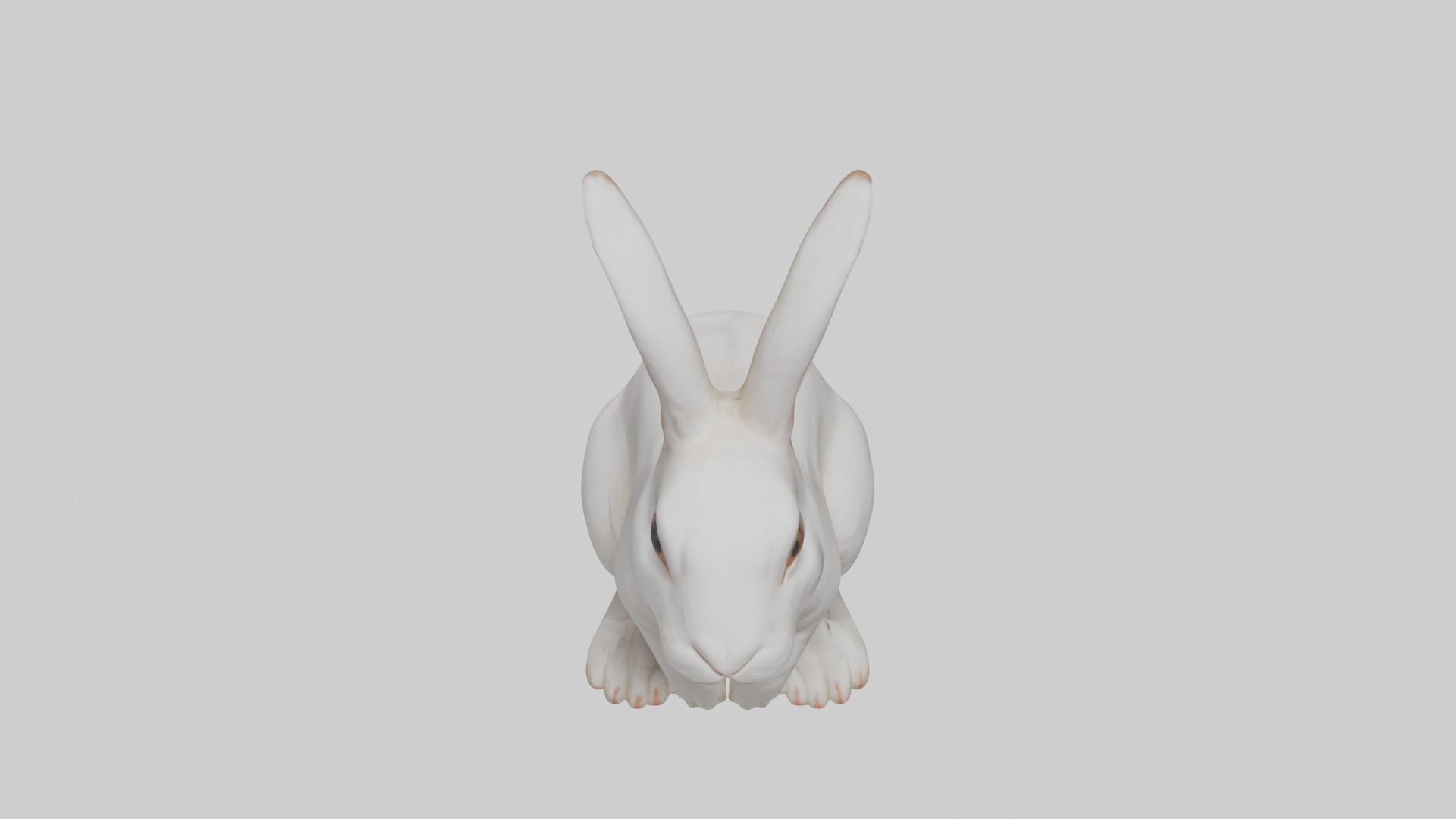 Rabbit Body Low-poly 3D model_16