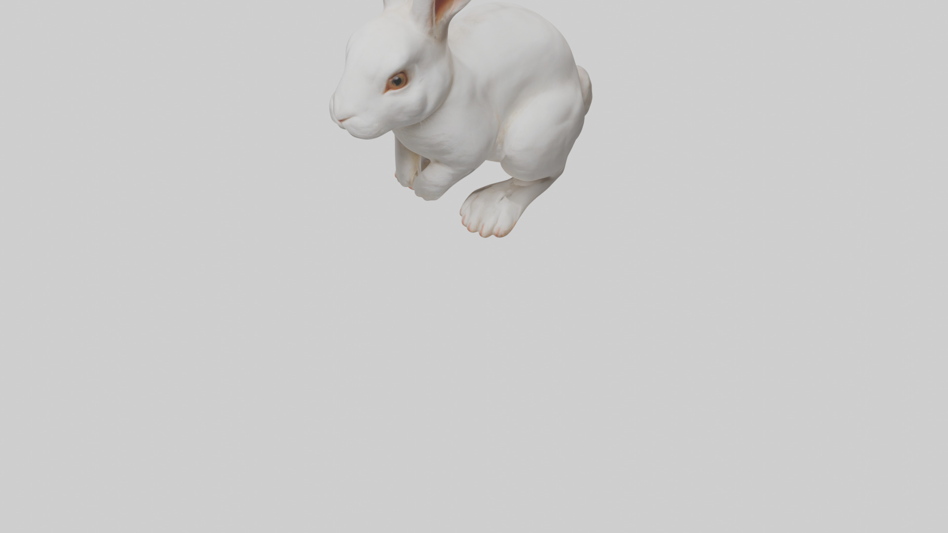 Rabbit Body Low-poly 3D model_8