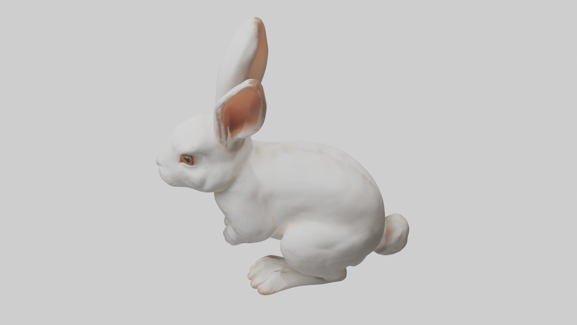 Rabbit Body Low-poly 3D model_17