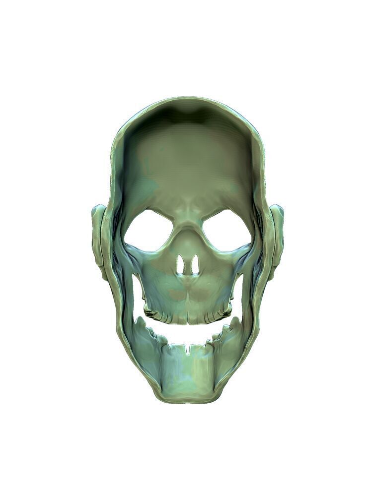 Skull Zombie Clown Mask 3D print model_4