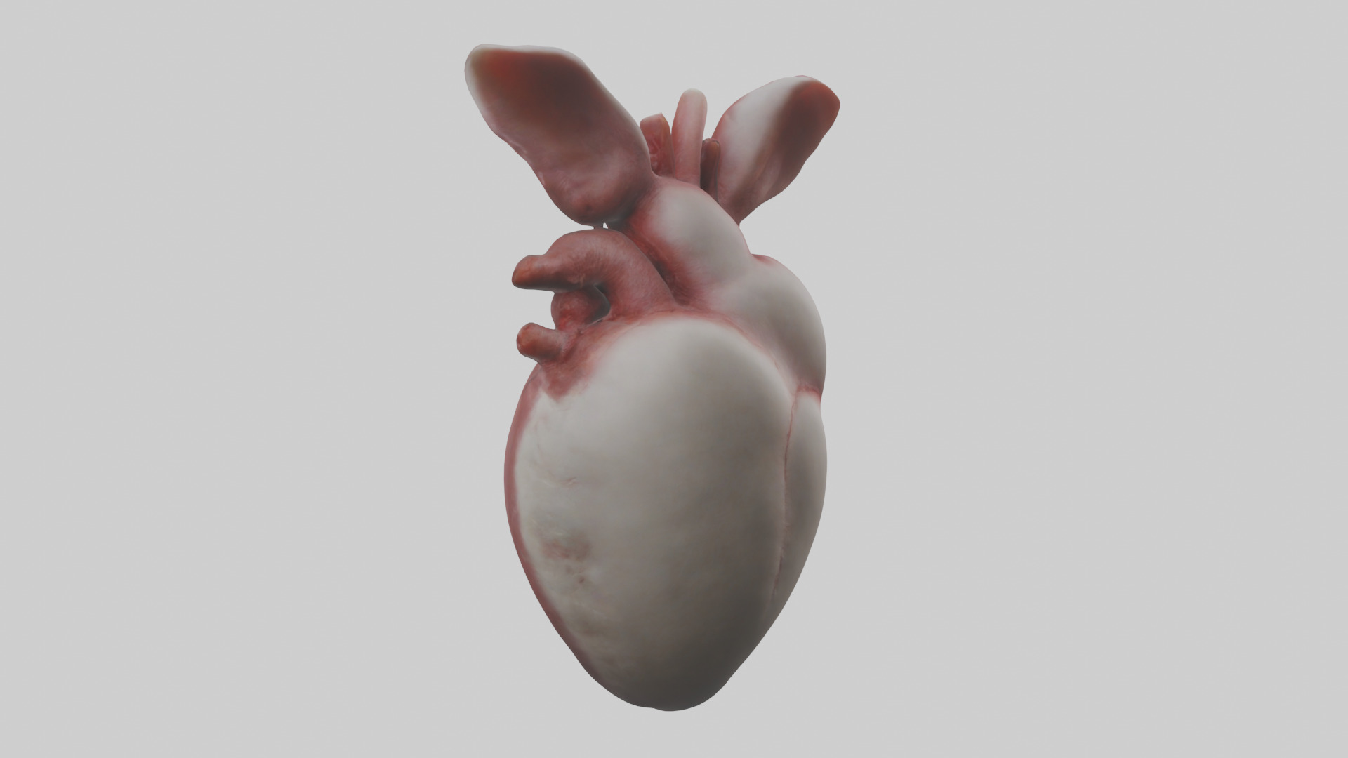 Rabbit Heart Low-poly 3D model_1