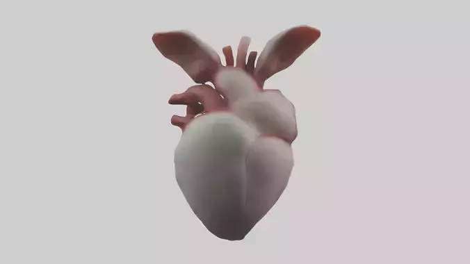 Rabbit Heart