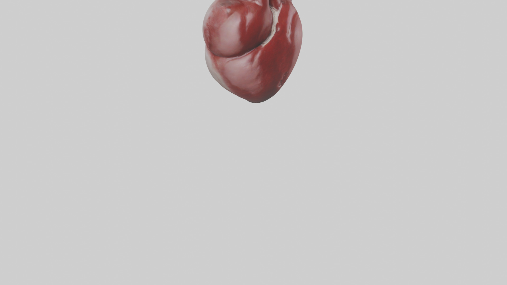 Rabbit Heart Low-poly 3D model_6