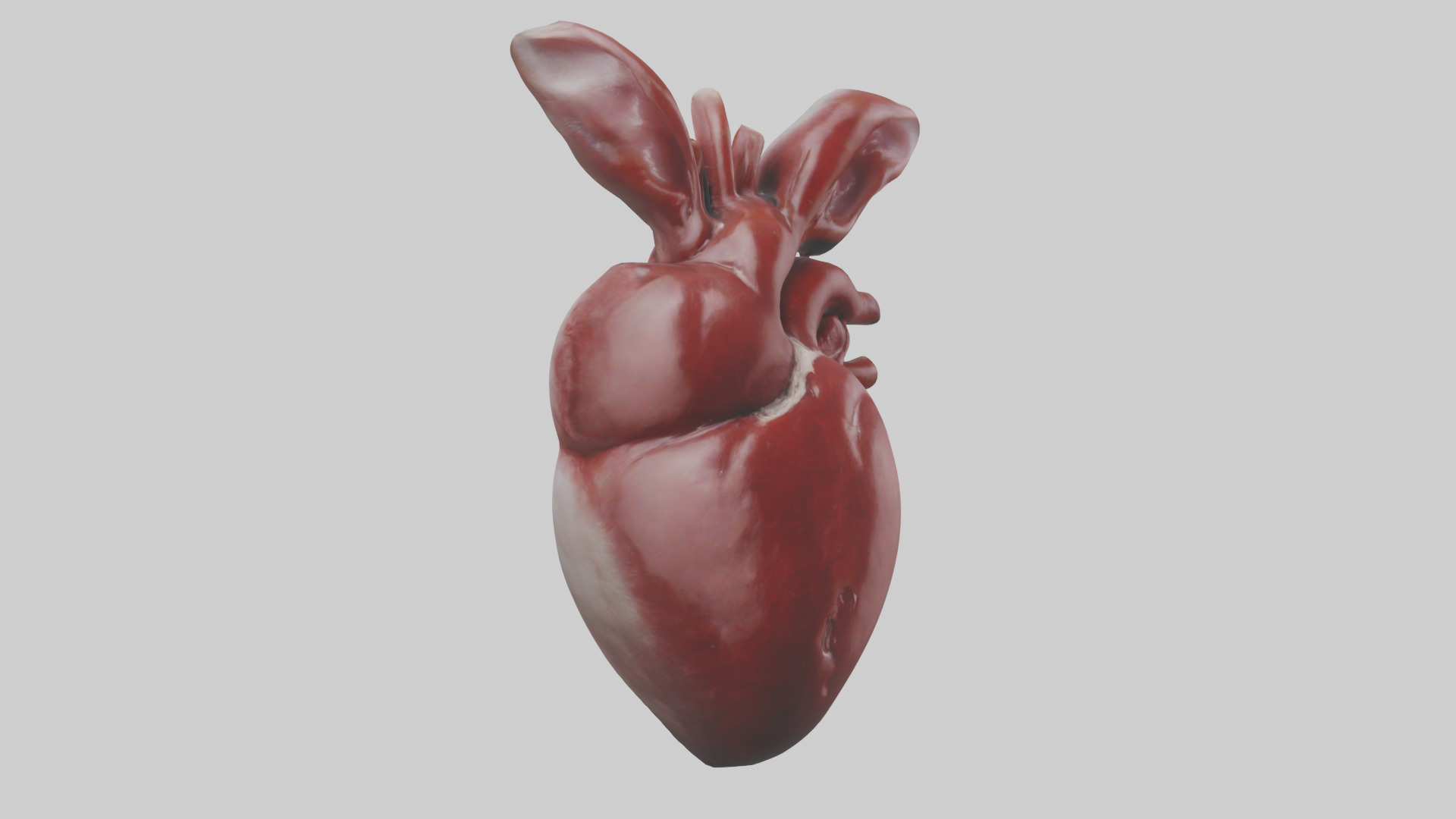 Rabbit Heart Low-poly 3D model_7